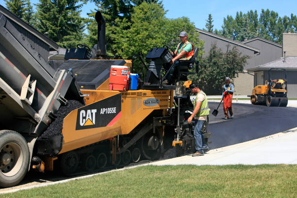 Best Decorative Driveway Pavers  in Mohave Valley, AZ